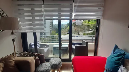 Departamento Viña Amoblado-full-estac Marzo A Dic 2025