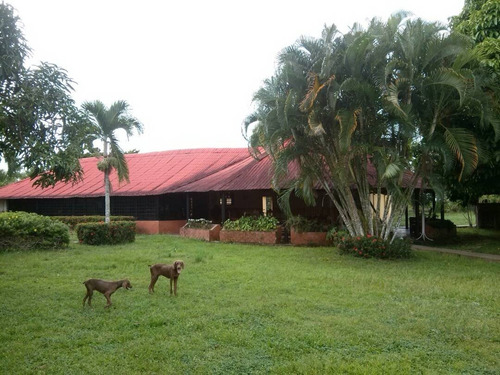 Imagen 5 de 6 de Finca Con Cantera De Piedra Picada. Oportunidad Para Inversión A 18km De Maturin. Negociable