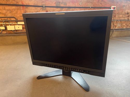Jvc Dt-v24l1 Professional 24 Multi Format Lcd Broadcast (Usado)