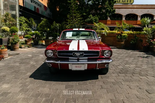 1965 Ford Mustang Gt Fastback