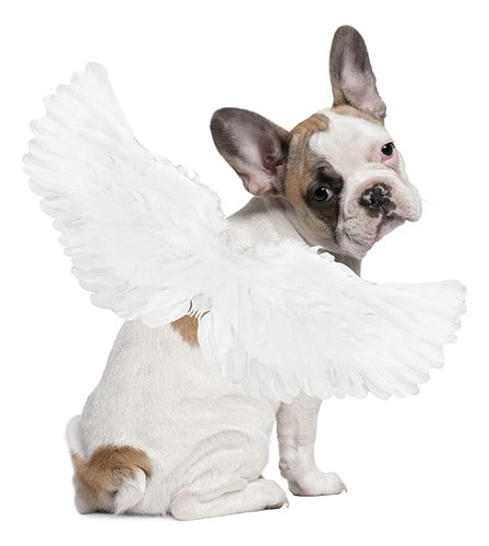 Disfraz Para Perro Alas Ángel Blancas Disfraz Cosplay Para P