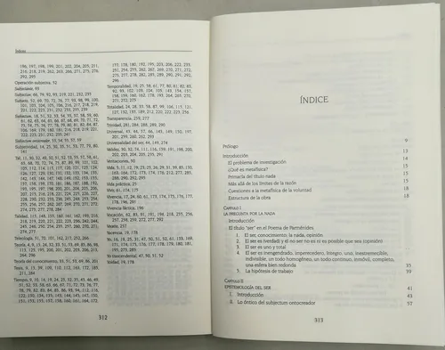 La Experiencia De Ser Tratado De Metafísica Usado 8/10 (Usado)