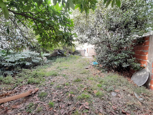 Imagen 19 de 27 de Venta De Casa De 3 Amb Con Cochera Pasante Y Amplio Lote.