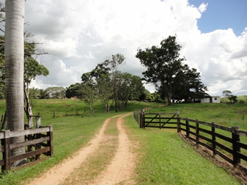 Fazenda À Venda Em Marabá Paulista - Fa00121 - 69026817