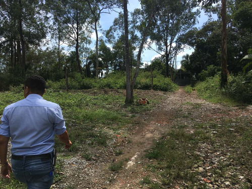 Imagem 13 de 15 de Terreno 350 M2 Ilha Do Bororé 8550 Primeira Balsa