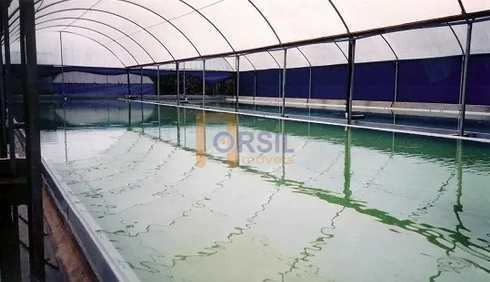 Imagem 6 de 10 de Sítio, Taiaçupeba, Mogi Das Cruzes - R$ 1.75 Mi, Cod: 2105 - V2105