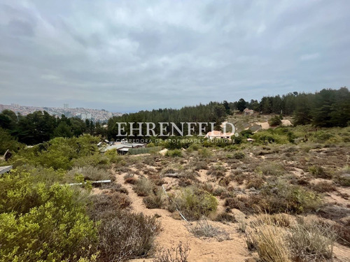 Reñaca, Los Almendros. Terreno Con Excelente Conectividad.