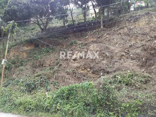 Imagen 4 de 8 de En Venta Terreno En El Sector Figueroa.