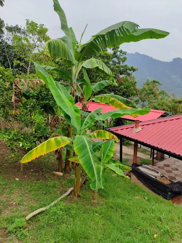 Venta De Hermoso Casa Lote En Sasaima- Cundinamarca