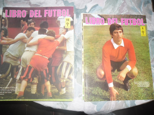 Lote De 22 Fasciculos Coleccinables Libro Del Futbol