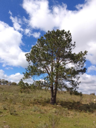 Venta Chacra 5,6 Hectareas Ruta 60 Sierra Tajamar Pozo