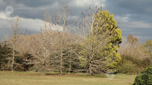 Imagen 9 de 25 de Terreno - Haras San Pablo