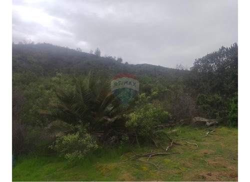 Terreno De 7,104 M2 En Oasis De La Campana