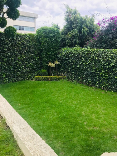 Imagen 6 de 13 de Renta Casa Terraza Y Jardín Fuentes Del Pedregal Cas_2372 Oa
