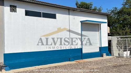 Imagen 5 de 9 de Bodega En Renta En Infonavit Las Flores