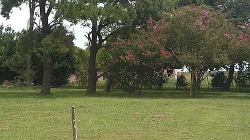 Campo En Venta En Capitán Sarmiento