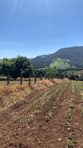 Imagem 3 de 8 de Terreno Extrema Mg.