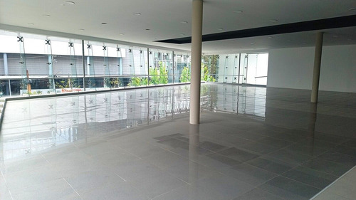 Renta Local Comercial En Renta En Santa Fe 726 M2
