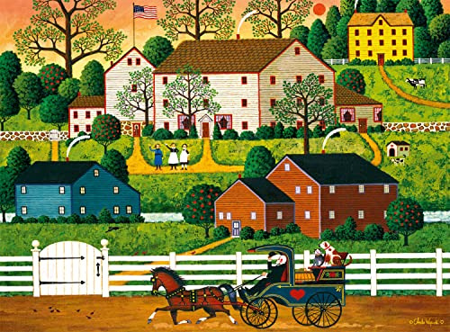 Buffalo Games Charles Wysocki Hi Neighbor 1000