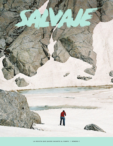 Revista Salvaje 7: La Revista Que Quiere Sacarte Al Campo, De Aa.vv., Vol. 1. Editorial Revista Salvaje, Tapa Blanda En Español