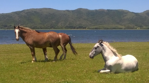 Espectacular Lote En Potrero De Garay, Con Vista Al Lago!!!!!!!!!