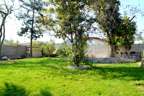 Las Araucarias Norte / Lo Cañas