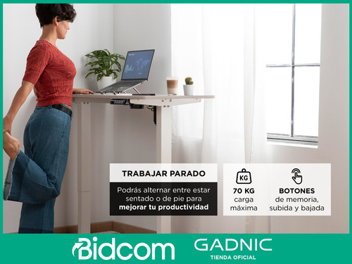 Escritorio Regulable Simple Gadnic 120x60x18 Ajuste Altura