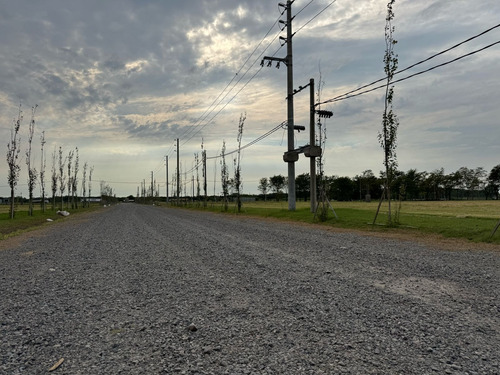 Lotes En Venta En Cañuelas - Chacras