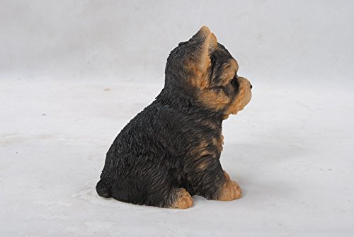 Hiline Regalo Ltd Sentado Yorkshire Terrier Puppy 65