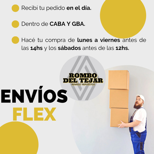 Bujes De Parrilla Kit X4 Renault R12