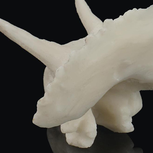 Decoración De Acuario De Resina Cráneo De Triceratops