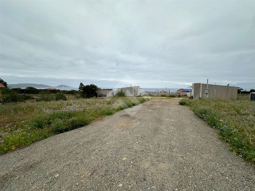 Sitio Con 2 Cabañas Alajadas En Venta En Guanaqueros