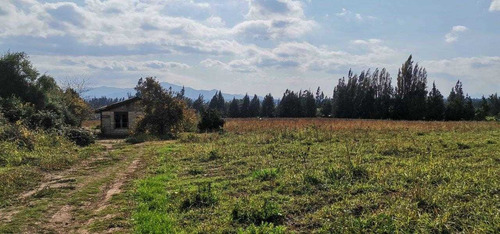 Terreno Agricola De 6 Hectáreas,  En San Vicente De