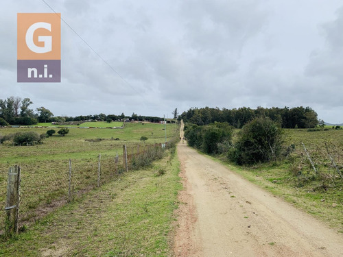 Chacra En Venta Ruta 9 Pan De Azúcar
