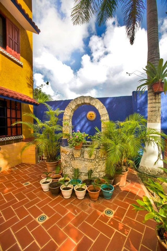 Imagen 7 de 14 de Departamentos Amueblados En La Isla De Cozumel