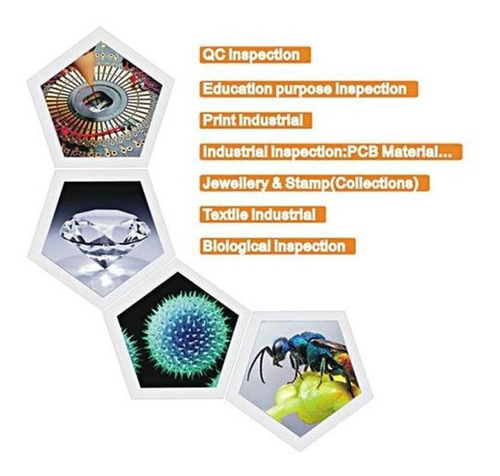 Equipos Microscópicos Laboratorio, Mxbom-001, 1 Pza, 4.3 Lc Color Gris