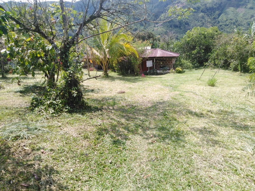 Se Vende Finca Productiva $ 120.000.000