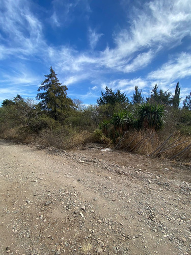 Al Pie Del Cerro Pan De Azucar, Lote En Cosquin