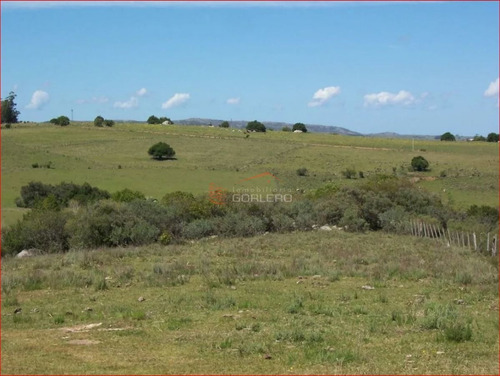 Imagen 8 de 12 de Chacra A La Venta En Maldonado A 49 Km De Punta Del Este, Con Cañadas Y Palmeras