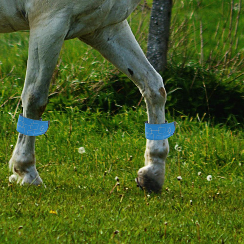 Tobilleras Led Para Caballos, 4 Unidades, Ajustables Para Pi