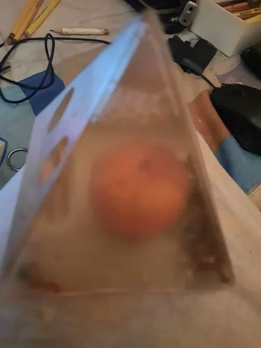 Piramide Mandarina Fenxhui (Usado)