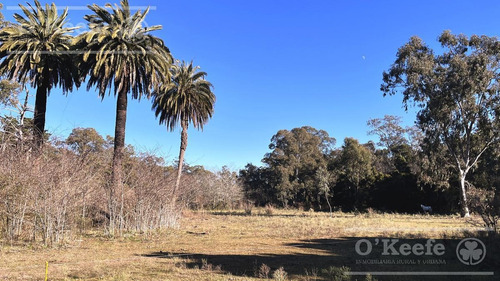 Imagen 15 de 21 de Barrio Privado Aires De Hudson - Lote En Venta