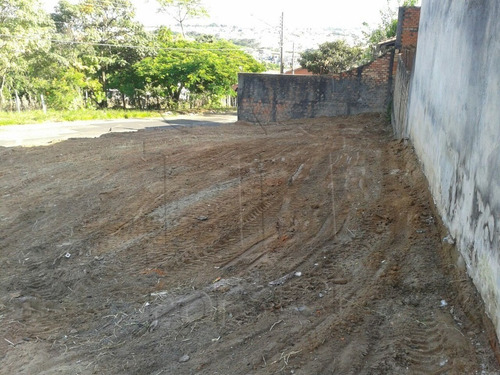 Imagem 4 de 9 de Terreno Para Venda - Te00290 - 4382980