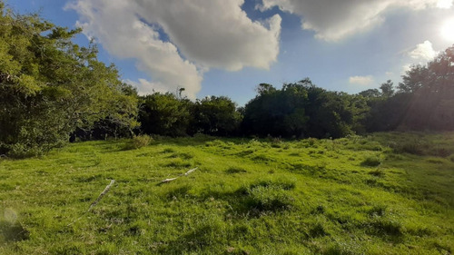 Campo De 26 Has A Metros De Ruta 9 En Pan De Azúcar