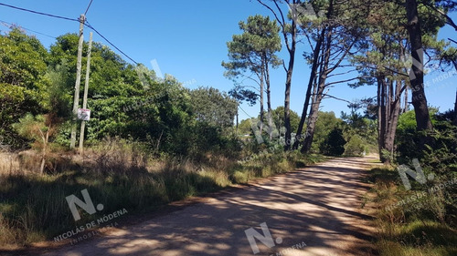 Imagen 4 de 5 de Terreno En Punta Ballena, Portezuelo Bosque - Punta Ballena Portezuelo Bosque