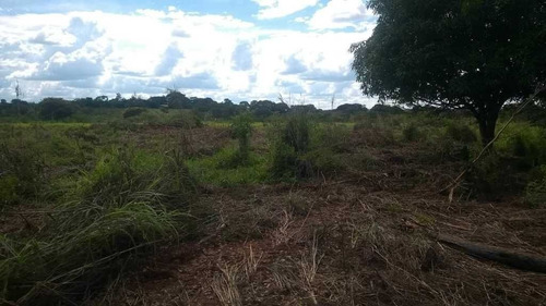 Imagem 16 de 30 de Fazenda De Gado E Graõ Com 455 Hectares Curvelo - 36426