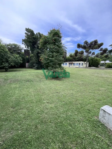 Casa ,local En Venta Pinar Sur Sobre Principal!