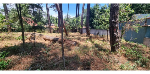 Terreno En Venta, Zona Avandaro