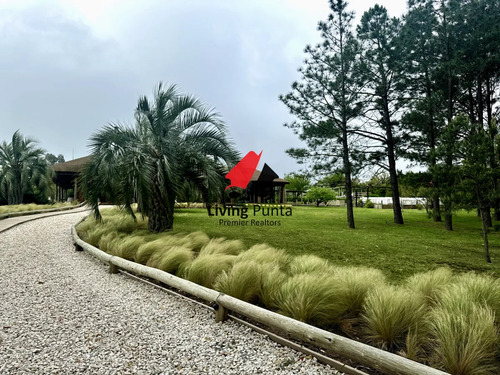 Hermoso Lote En Venta De 5000 Mtrs 2