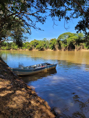 Imagem 24 de 30 de Chácara Em Centro, Martinho Campos/mg De 750m² 1 Quartos À Venda Por R$ 60.000,00 - Ch2330369-s